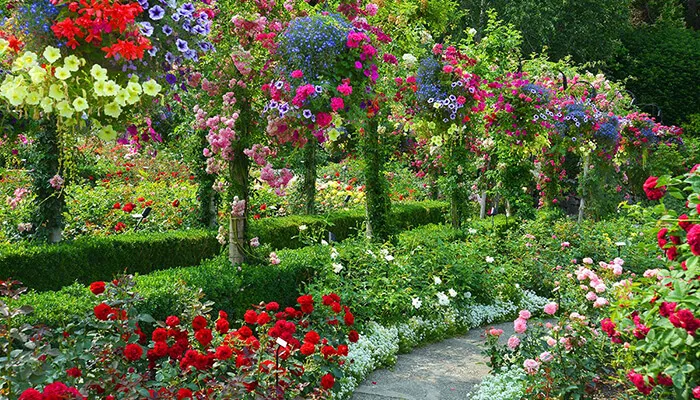 Rose Garden